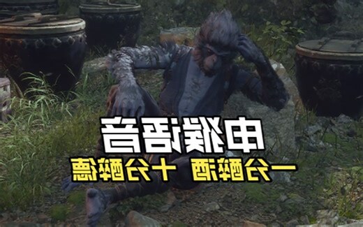 申猴