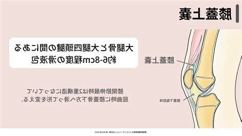 膝蓋縫針