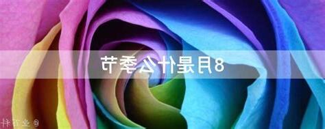 8月是什么季节