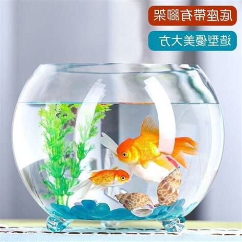 圓形魚缸不好