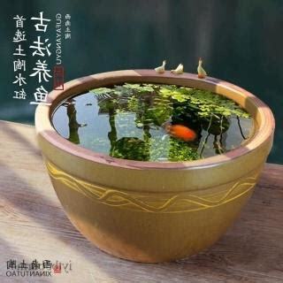 養魚水缸
