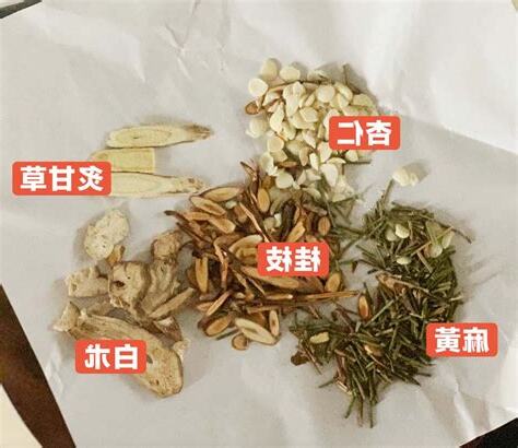 麻黃加朮湯濕疹