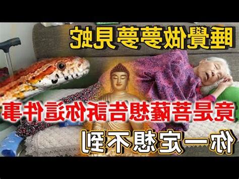看到蛇代表什麼數字
