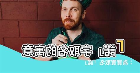 諾名字意思