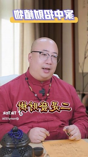 吸財樹風水