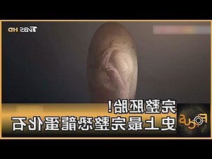 恐龍蛋化石
