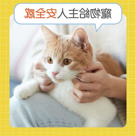 飼養寵物的好處