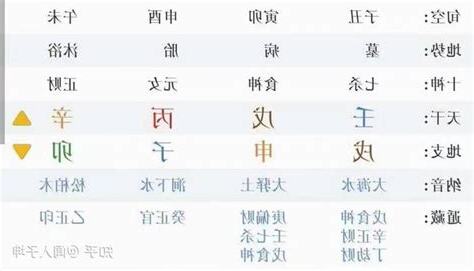 每日八字