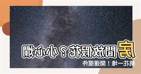 房間放假植物