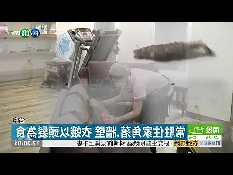 房間有蟬怎麼辦