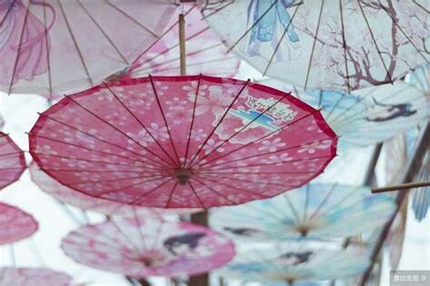油紙傘禁忌