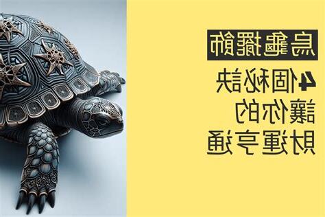 烏龜擺飾風水