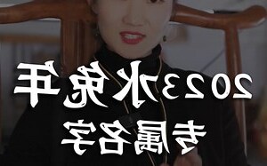 水兔取名
