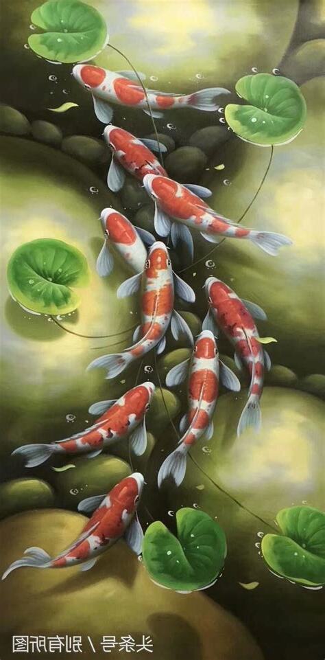 九隻魚