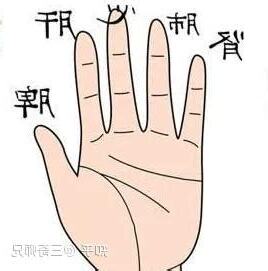 五隻手指代表