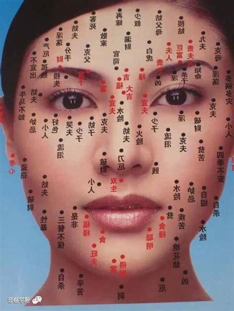 食倉有痣