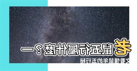 老鼠五行屬什麼