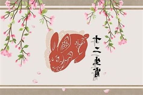 2023兔寶寶五行