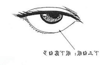 下三白意思