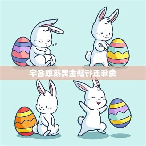兔年取名字