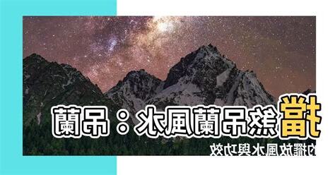 擋煞吊蘭風水