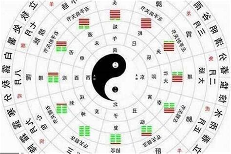 姓名金木水火土