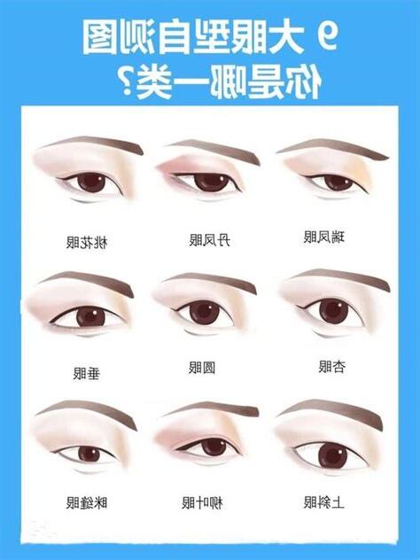 眼型長