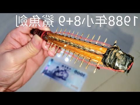 鯊魚劍仙人掌風水
