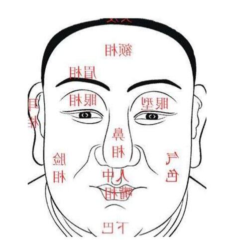天庭骨隆起
