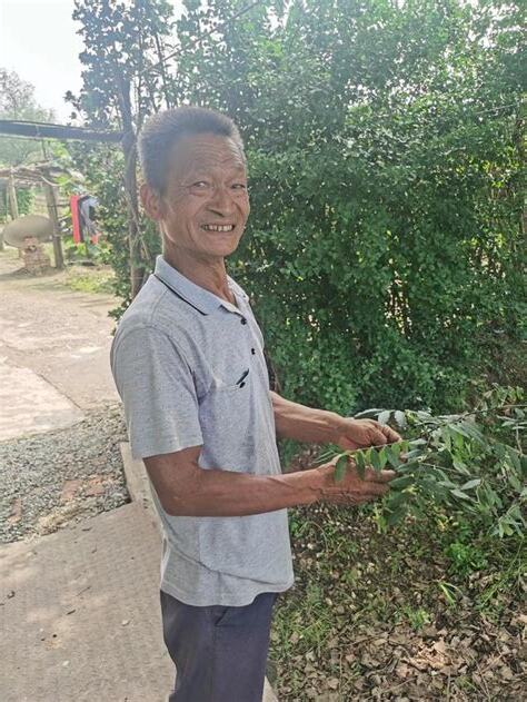 種樹人