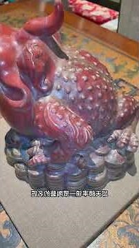 咬錢玉蟾蜍擺放