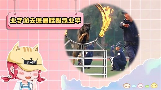 真正意义上的母狗