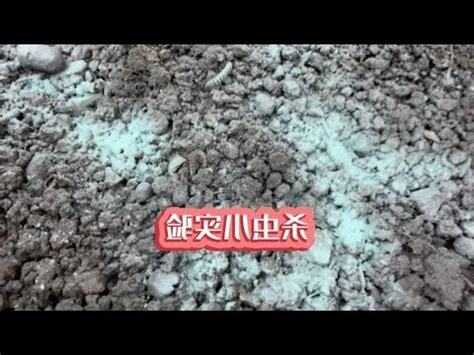 馬路怕什麼