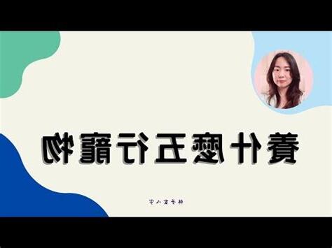 貓屬五行