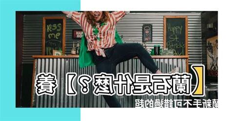 蘭石是什麼