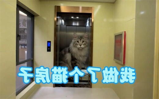 男牛女猴