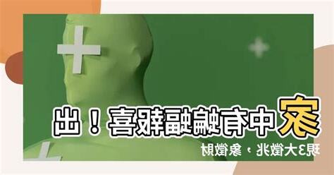 蝙蝠好運
