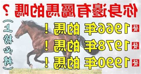 1990年屬馬