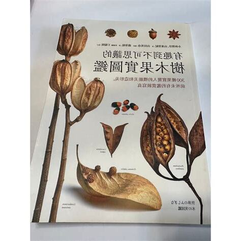 樹木果實