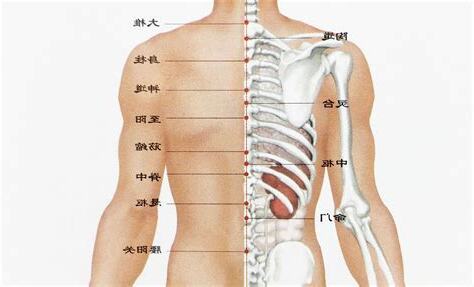 背有痣男