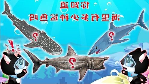 海洋生物有哪些