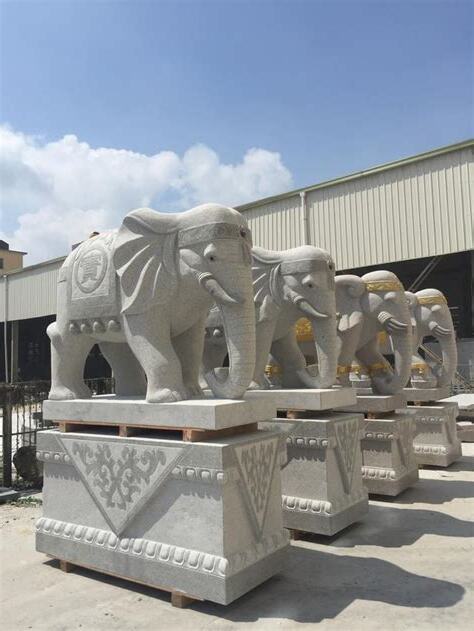 大象代表什麼意思