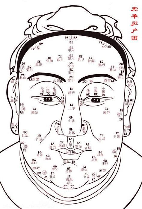 面相流年图