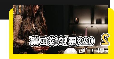 屬蛇錢包顏色