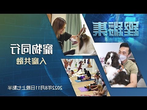 香港養寵物人數2023