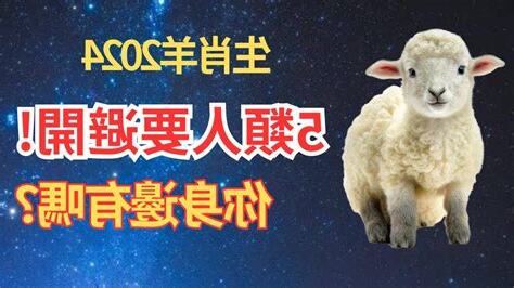 屬羊今年運勢