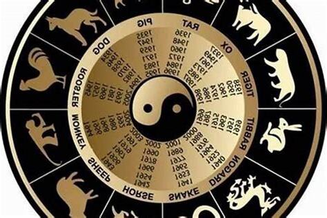 屬水的生肖