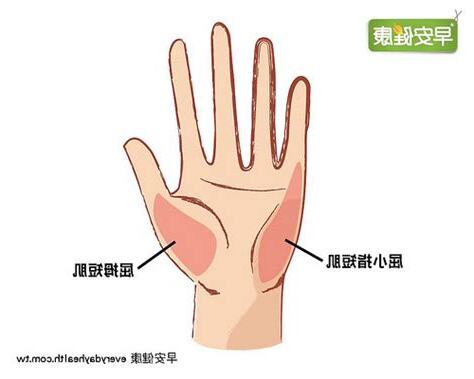 手掌小拇指下方痛