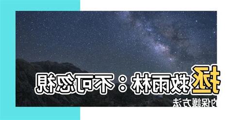 保護雨林的方法