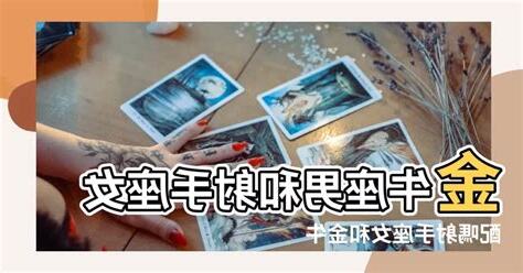 射手女金牛男配對